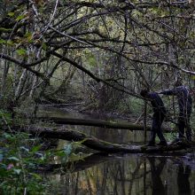 Filmstill&nbsp; aus "CROSSING"