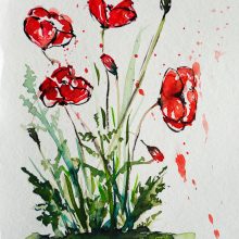 Mohnblumen