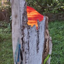 Sonnenuntergang auf Holz